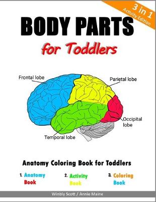 Book cover for Body Parts for Toddlers