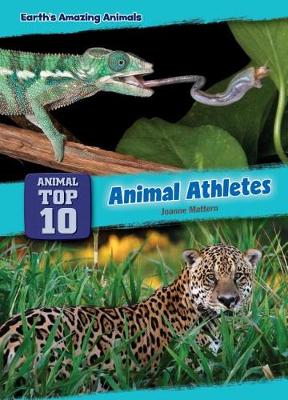 Book cover for Animal Athletes