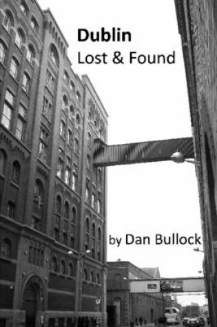 Cover of Dublin Lost & Found