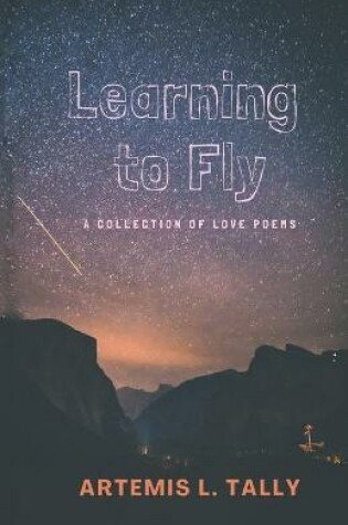 Cover of Learning to Fly