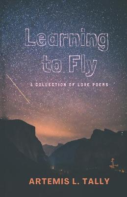 Book cover for Learning to Fly