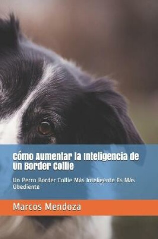 Cover of Como Aumentar la Inteligencia de Un Border Collie