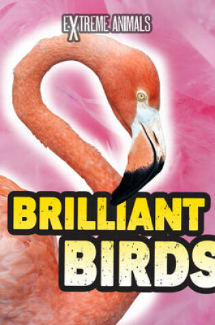 Cover of Brilliant Birds