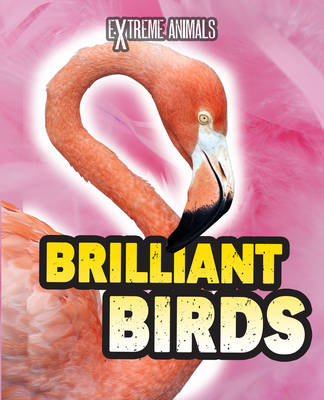Book cover for Brilliant Birds