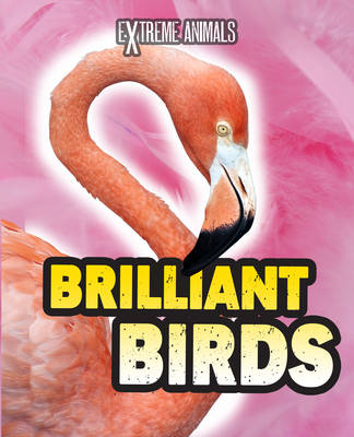 Cover of Brilliant Birds