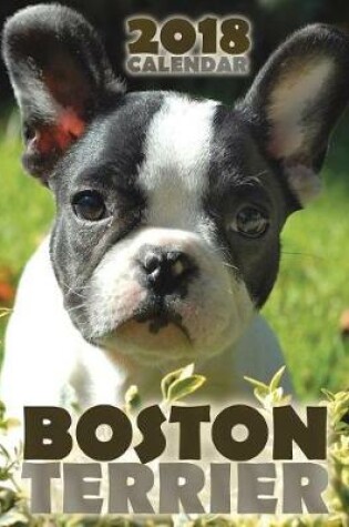 Cover of Boston Terrier 2018 Calendar