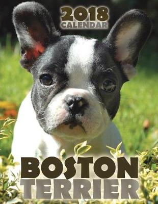 Book cover for Boston Terrier 2018 Calendar