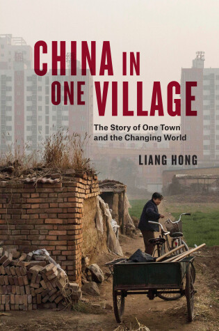 Cover of China in One Village