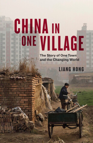 Book cover for China in One Village