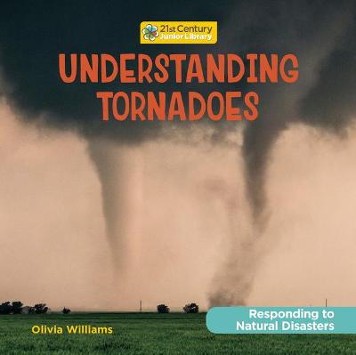 Cover of Understanding Tornadoes