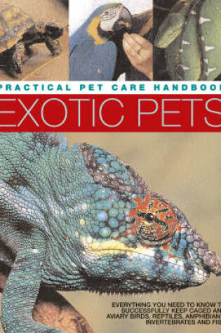 Cover of Exotic Pets