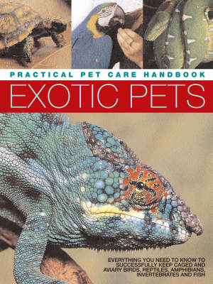 Book cover for Exotic Pets