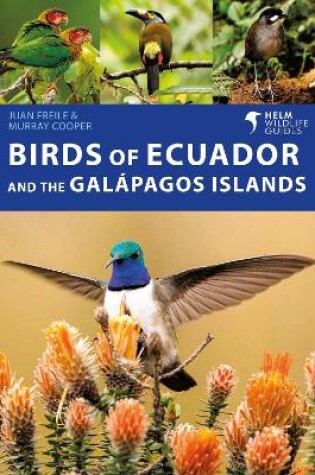 Cover of Birds of Ecuador and the Galapagos Islands