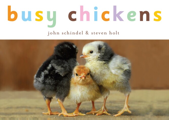 Book cover for Busy Chickens