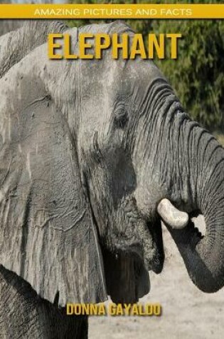 Cover of Elephant