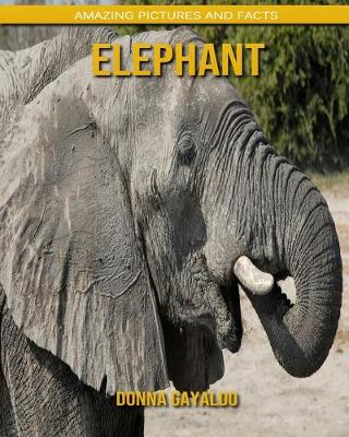 Book cover for Elephant