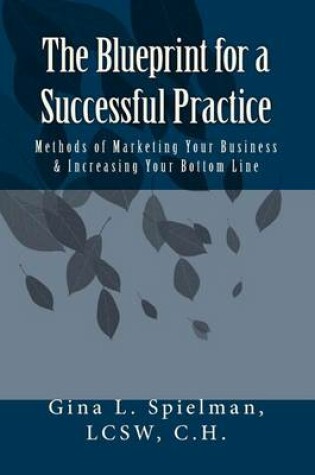 Cover of The Blueprint for a Successful Practice