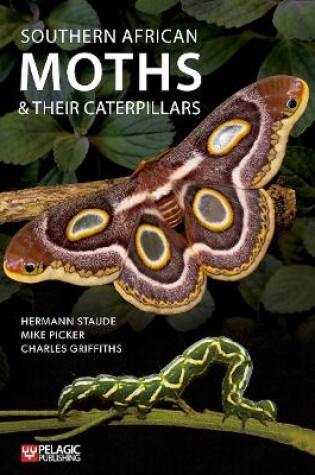 Cover of Southern African Moths and their Caterpillars