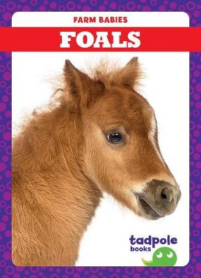 Book cover for Foals