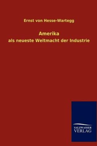 Cover of Amerika