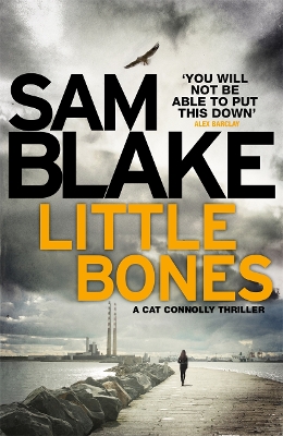Book cover for Little Bones