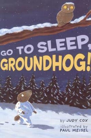 Cover of Go to Sleep, Groundhog!