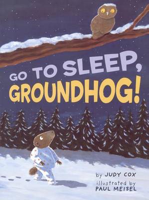 Book cover for Go to Sleep, Groundhog!