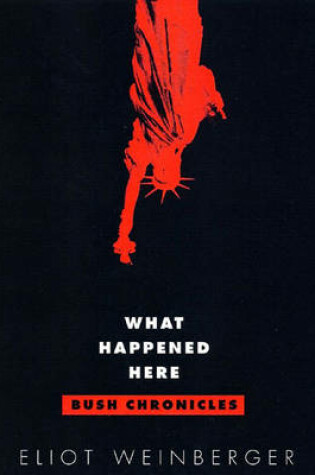 Cover of What Happened Here: Bush Chronicles: Current Affairs