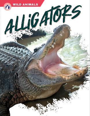 Cover of Alligators