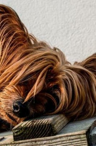 Cover of Yorkshire Terrier Dog Napping on a Bench Journal