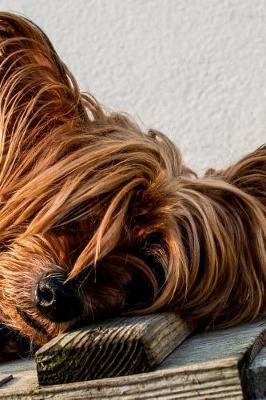 Book cover for Yorkshire Terrier Dog Napping on a Bench Journal