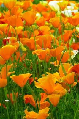 Book cover for Beautiful Field of Orange Iceland Poppy Flowers Journal