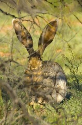 Cover of A Jackrabbit in the Brush, for the Love of Animals