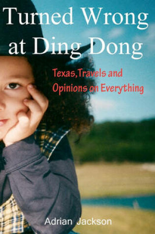 Cover of Turned Wrong at Ding Dong