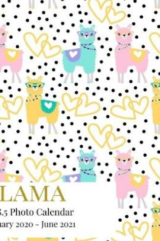 Cover of Llama 8.5 X 8.5 Photo Calendar January 2020 - June 2021