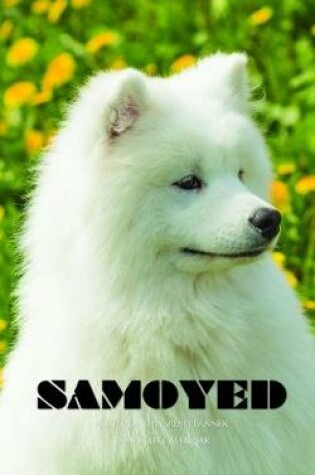 Cover of Samoyed Note Monthly 2020 Planner 12 Month Calendar