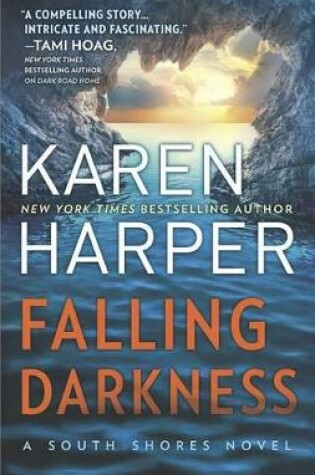 Cover of Falling Darkness