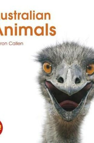 Cover of Australian Animals