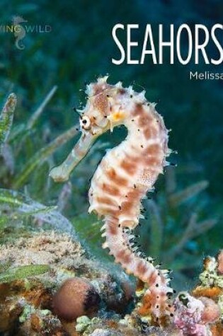 Cover of Seahorses