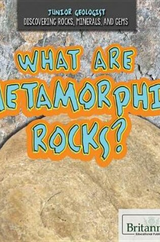 Cover of What Are Metamorphic Rocks?