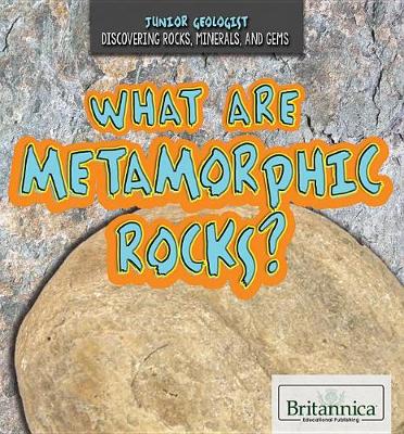 Book cover for What Are Metamorphic Rocks?