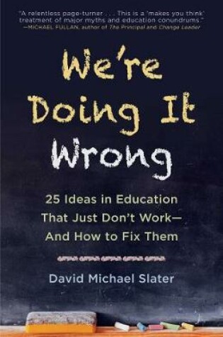 Cover of We're Doing It Wrong