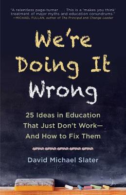 Book cover for We're Doing It Wrong