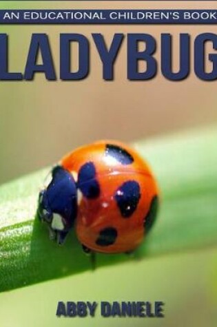 Cover of Ladybug! An Educational Children's Book about Ladybug with Fun Facts & Photos