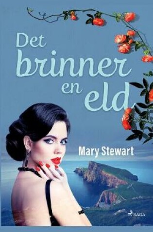 Cover of Det brinner en eld