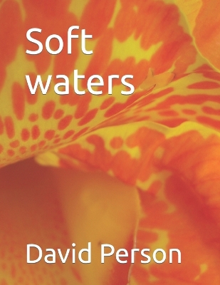 Book cover for Soft waters