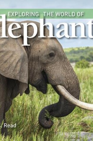 Cover of Exploring the World of Elephants