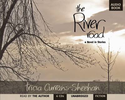 Book cover for The River Road (Audio Book)