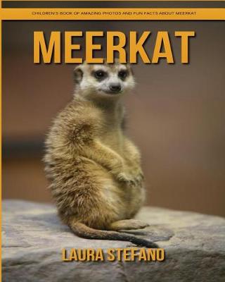 Book cover for Meerkat