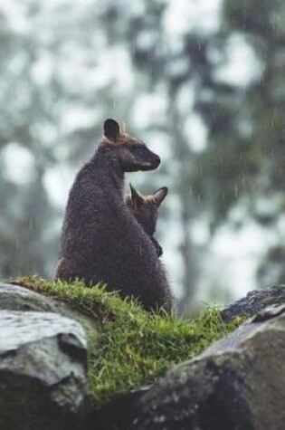 Cover of A Kangaroo and her Baby Roo on A Rocky Pasture Journal